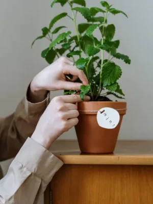 services-page-image-3_optimized test